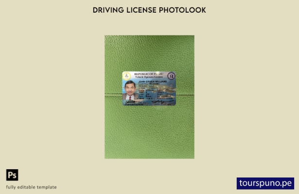 listo para imprimir plantilla de aspecto fotográfico frontal del permiso de cond